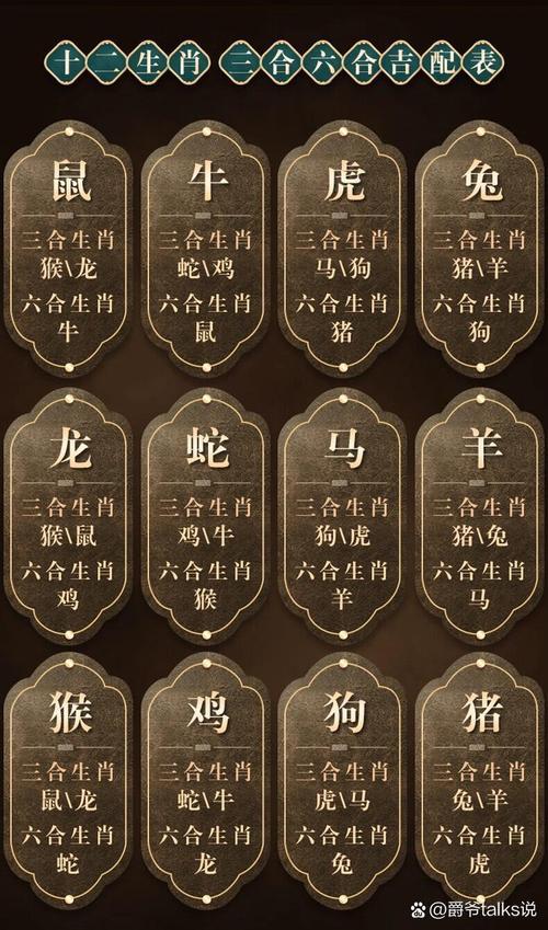 馬跟什么屬相不合