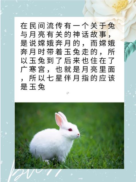生肖兔的傳說