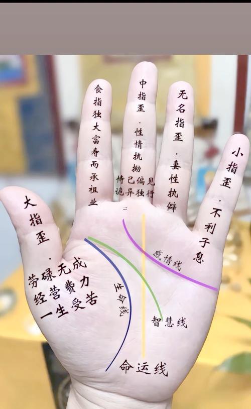 手相財運線