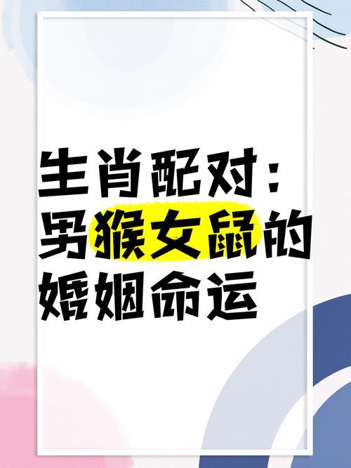 猴還有鼠合不合