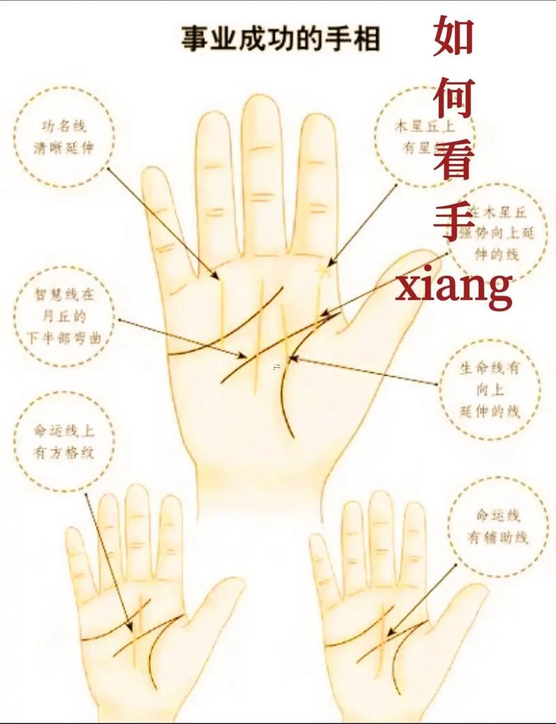 手紋圖解