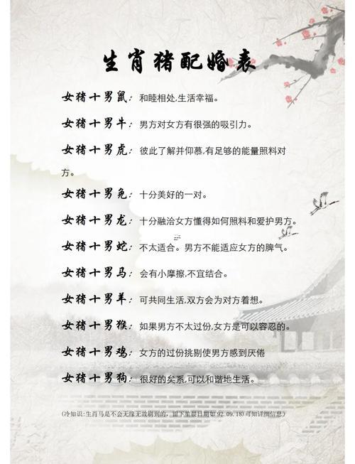 龍豬屬相配嗎
