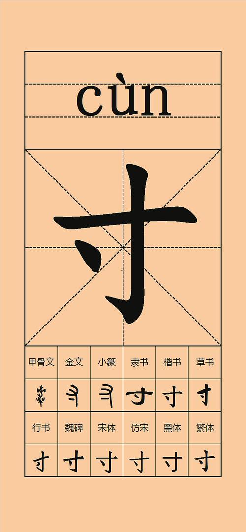 帶寸的字