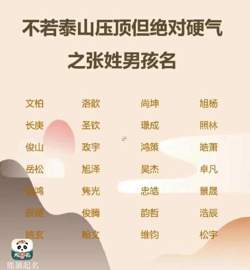 有寓意的男孩名字