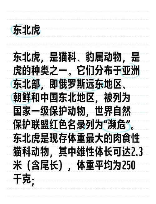 老虎的由來(lái)
