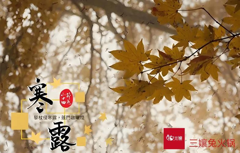 二十四節(jié)氣寒露