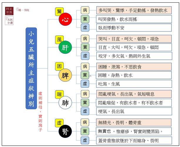 心的五行