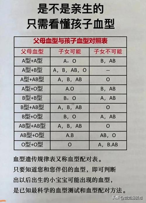 夫妻血型配對表