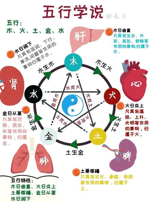 人體五行對(duì)應(yīng)關(guān)系