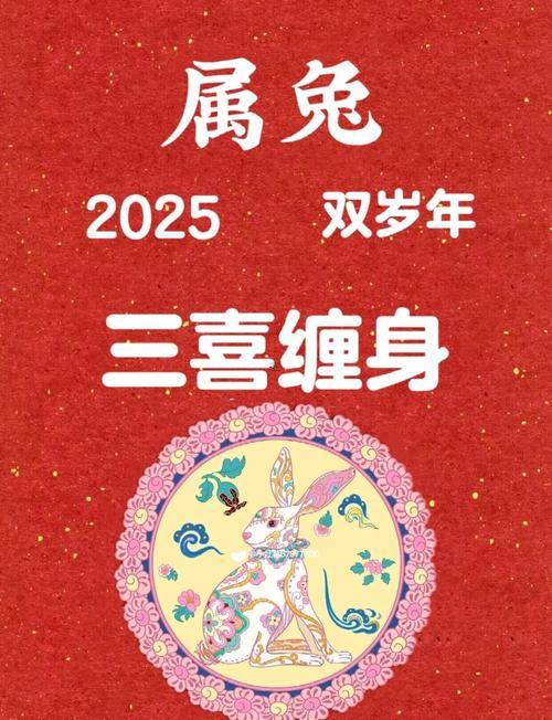 屬兔哪一年出生的