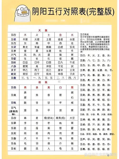 2024年五行屬什么