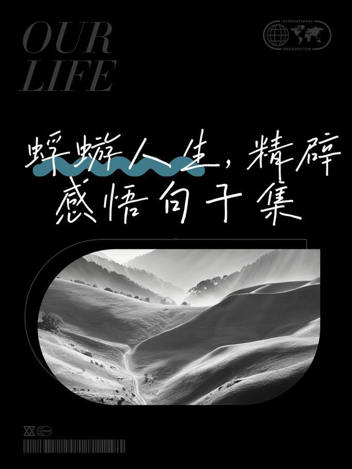 蜉蝣的寓意