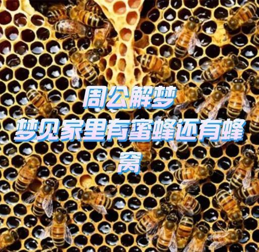 周公解夢(mèng)破解