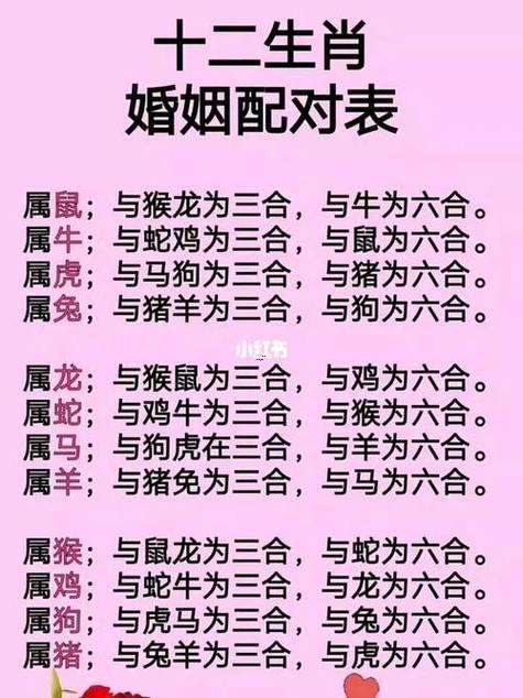 男牛女狗