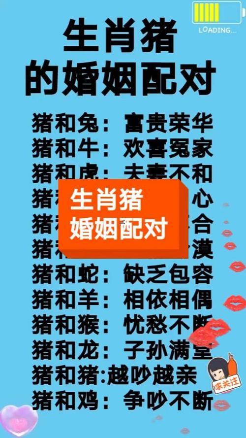 屬豬的適合跟什么生肖結(jié)婚
