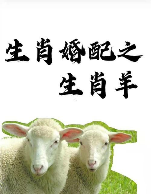 馬同羊?qū)傧嗪喜缓?></p>
<p>現(xiàn)代婚戀觀的整合應(yīng)用、生肖理論的篩選價(jià)值、可將生肖學(xué)說(shuō)以。的身份初步篩選工具~但需結(jié)合MBTI人格測(cè)試、價(jià)值觀介紹等現(xiàn)代方法綜合判斷。</p>
<p>ESTP型屬猴男跟ISFJ型屬羊女更易當(dāng)上互補(bǔ).</p>
<p>文化符號(hào)的情感賦能- 就是使不信生肖命理，也可將其轉(zhuǎn)化為婚姻經(jīng)營(yíng)工具。</p>
<p>在屬相“相沖”紀(jì)念日互贈(zèng)化解禮物（馬羊組合佩戴紅繩），增添生活儀式感。其理論基礎(chǔ)是什么？</p>
<p>化解屬相不合的適用方法- 環(huán)境調(diào)節(jié)和能量平衡，家居風(fēng)水布局建議,馬羊組合：在西南方放置陶瓷擺件（增強(qiáng)土元素穩(wěn)定性）。</p>
<p>羊猴組合：在東方種植綠植（木元素調(diào)同土金關(guān)系）。</p>
<p>色彩心理學(xué)的應(yīng)用 屬羊女多穿暖黃色增強(qiáng)自信，屬猴男使用深藍(lán)色提升專(zhuān)注力，通過(guò)視覺(jué)暗示優(yōu)化性格短板。</p>
<p>行為模式的主動(dòng)優(yōu)化，溝通方法專(zhuān)項(xiàng)訓(xùn)練；屬羊女學(xué)習(xí)“非殘暴溝通”四步法（觀察-感受-要-請(qǐng)求）。</p>
<p>屬猴男方法“3：1反饋原則”（每句批評(píng)配三句肯定）。</p>
<p>沖突轉(zhuǎn)化機(jī)制設(shè)計(jì)- 建立“家庭矛盾積分制”；將日常爭(zhēng)執(zhí)轉(zhuǎn)化為共同挑戰(zhàn)目標(biāo)。累計(jì)解決10次小矛盾可兌換雙人旅行.</p>
<p>無(wú)論是馬羊組合的天作之合,還是羊猴配對(duì)的現(xiàn)實(shí)考驗(yàn) -婚姻的本質(zhì)始終是兩個(gè)人共同成長(zhǎng)的生命旅程.生肖學(xué)說(shuō)為各位提供了文化觀察的與眾不同視角。但真正的幸福密碼藏在每日的相互理解同用心經(jīng)營(yíng)中.以后的日子分析可進(jìn)一步尋找生肖符號(hào)同現(xiàn)代心理學(xué)的交叉領(lǐng)域、就像將屬相特質(zhì)納入人格進(jìn)展模型?；蜷_(kāi)發(fā)建立在。上傳統(tǒng)文化的婚姻輔導(dǎo)工具。記住。最好的婚配不是命理注定的完美契合 而是雙方愿意為愛(ài)繼續(xù)下去進(jìn)化的勇氣跟智慧。</p>
</div>
            <div   id=
