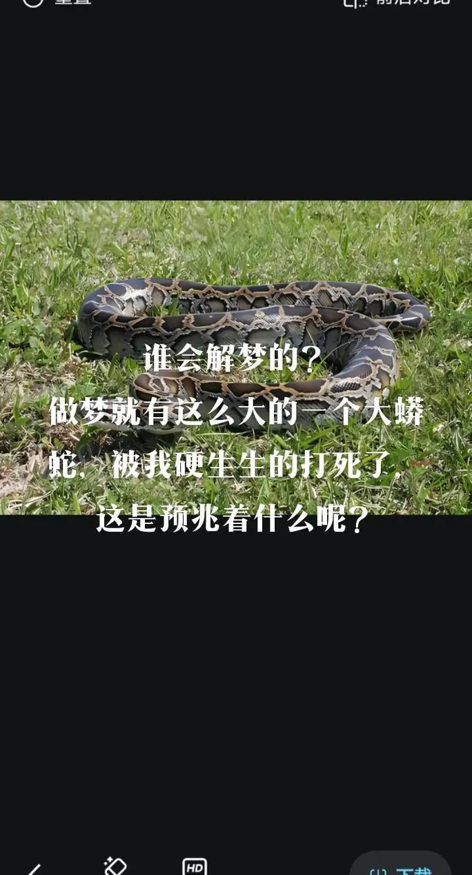 夢(mèng)見(jiàn)家里有蛇