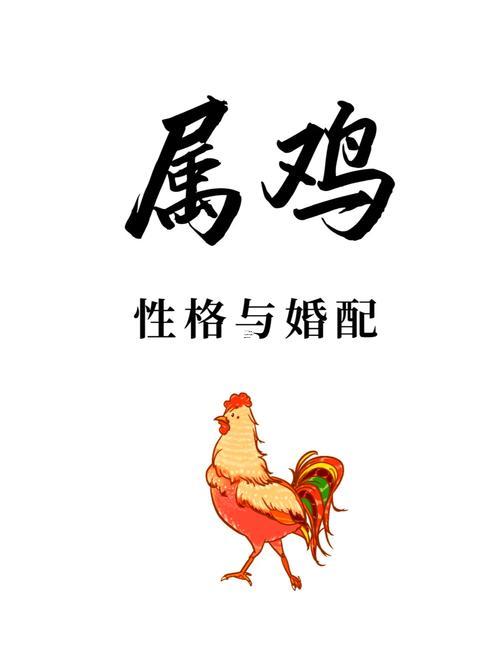 雞與雞屬相合不合
