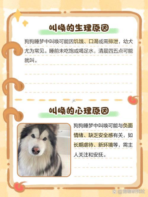 做夢夢到狗是什么東西征兆