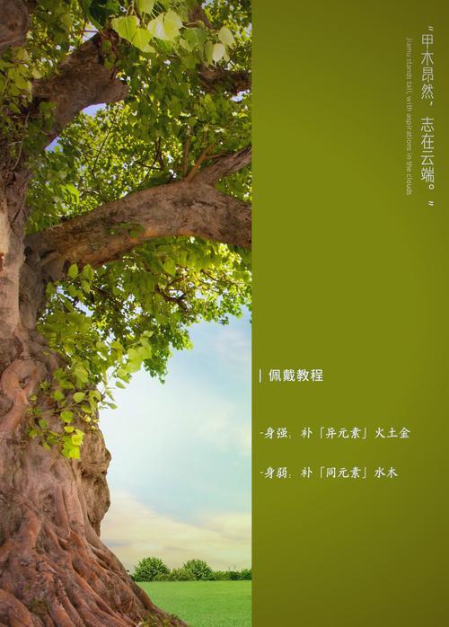 賀五行屬何事