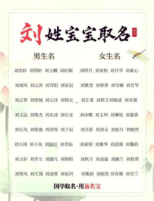 劉姓的名字男孩起名