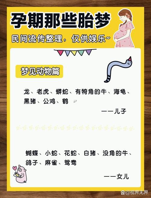 夢(mèng)見懷孕生小孩