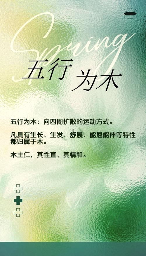 八字木多的女人