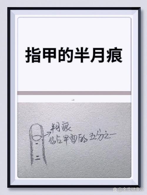 指甲半月痕