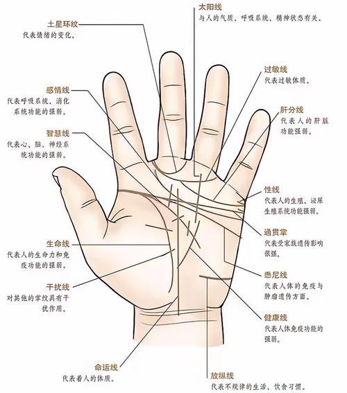 手相算命圖解