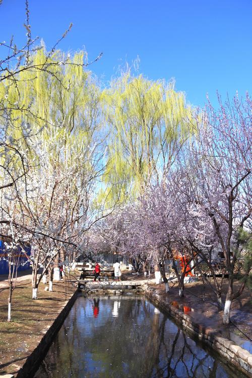 什么東西色滿園