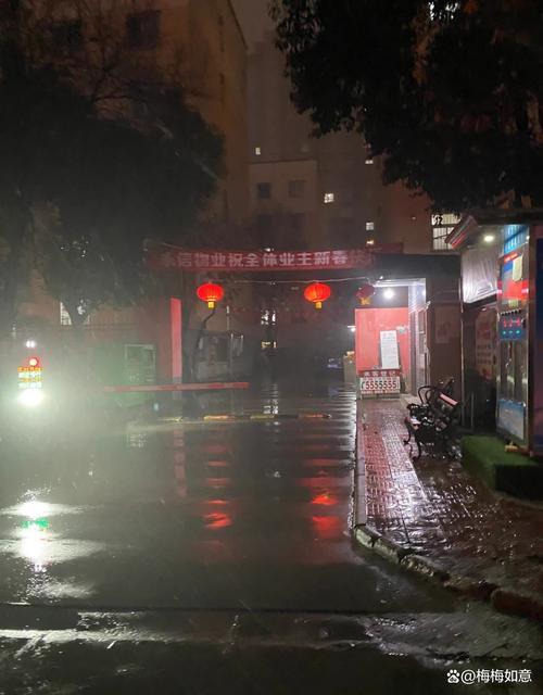 夢(mèng)見雨夾雪