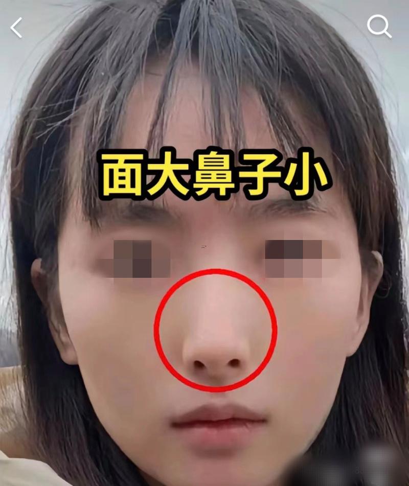 面大鼻小
