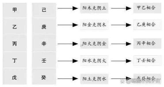 丁壬化木