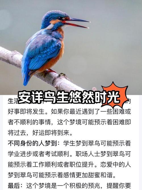 夢(mèng)見綠豆