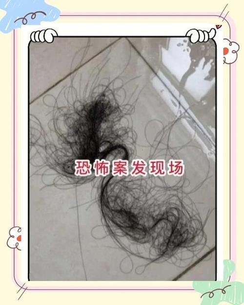 夢到自己掉頭發(fā)是何事預兆