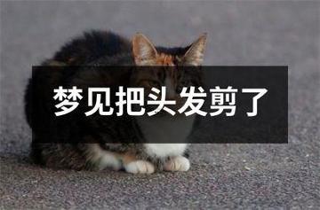 做夢夢見洗澡