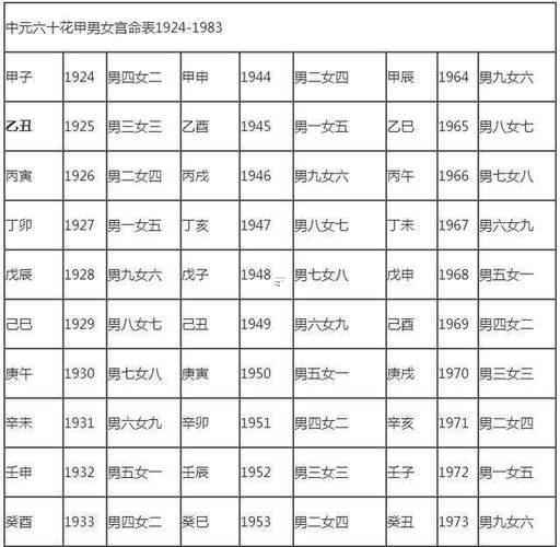 1995是什么東西命