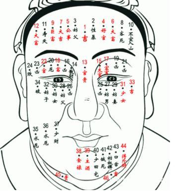 男痣圖解大全