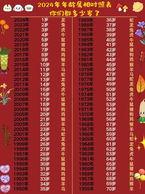 2011年是啥生肖年