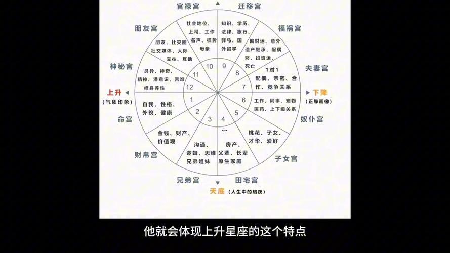 命宮是啥位置