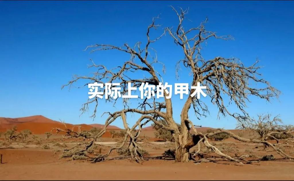 測八字命格