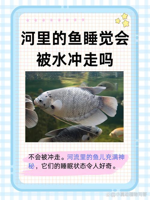 夢見到處都是水