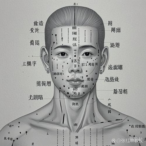男人的肩膀