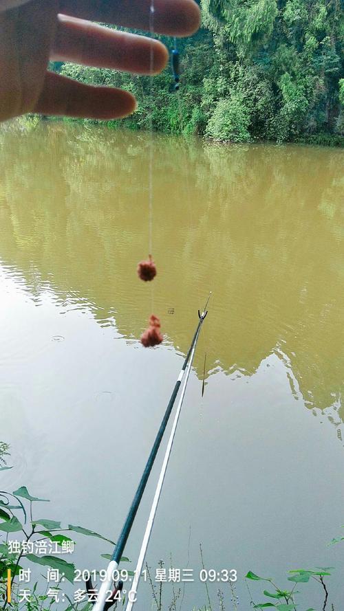 夢(mèng)見(jiàn)釣魚(yú)釣到大魚(yú)