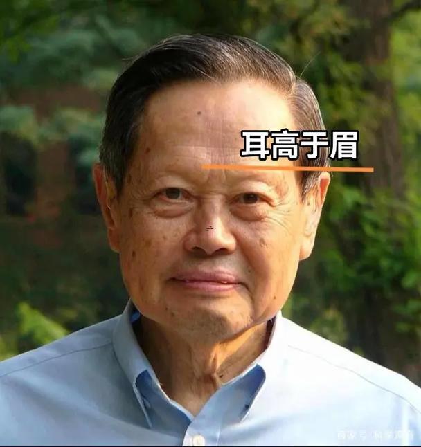 正面得得看不見耳朵