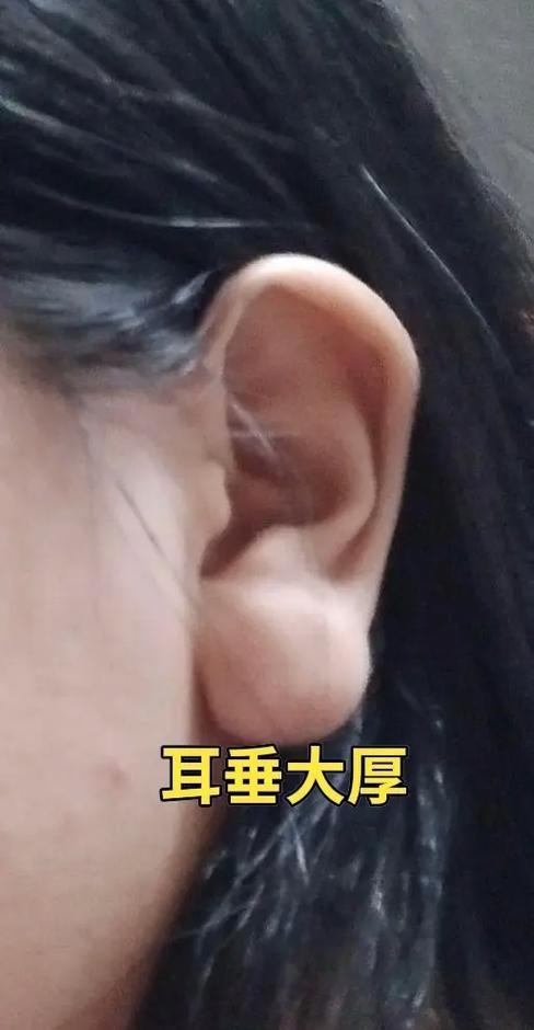 耳垂厚的人有福氣嗎