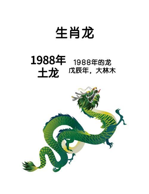 屬龍的2025年運(yùn)勢(shì)還有財(cái)運(yùn)怎么樣