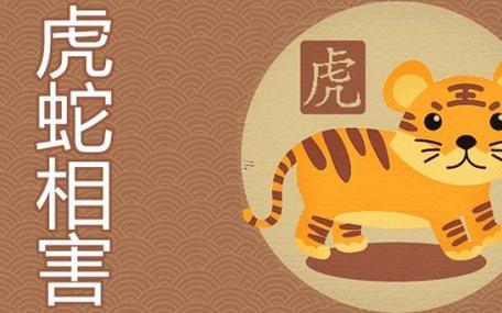 屬虎合屬蛇