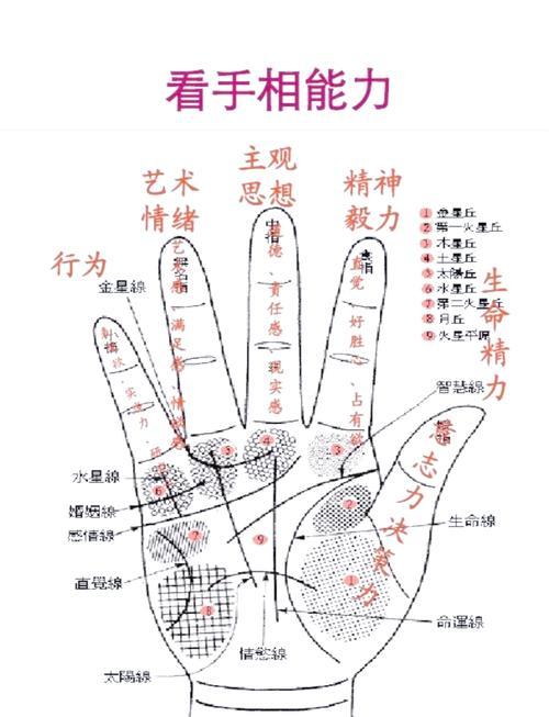 女生手大什么東西命