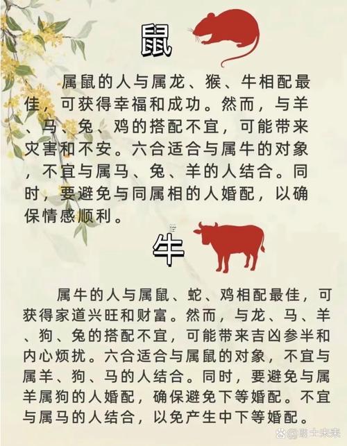 1995男年屬豬的最佳配偶